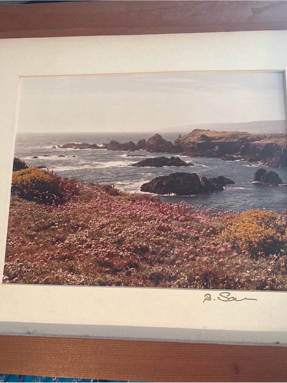 Framed Coastal Wildflower Print in Pink and Yellow